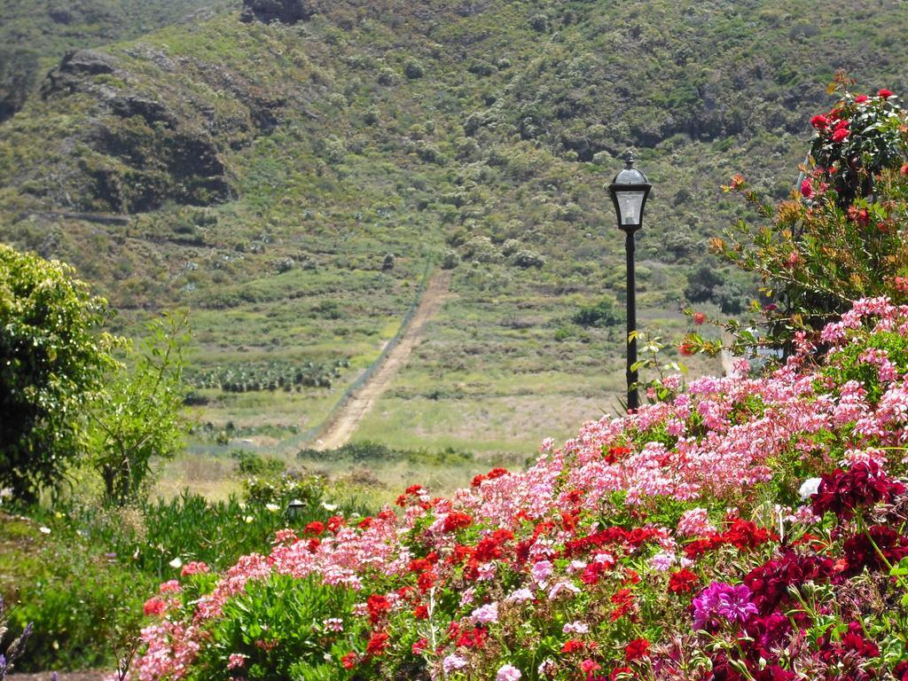 Finca El Picacho Apartments In The Countryside 2 Km From The Beach Tejina Room photo