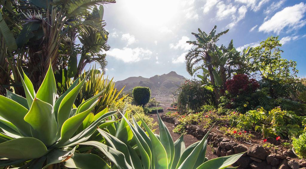 Finca El Picacho Apartments In The Countryside 2 Km From The Beach Tejina Room photo